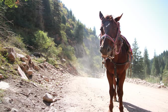 8 choses à faire lors d’un voyage au Kirghizistan