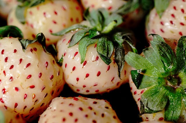 5 fruits insolites à goûter absolument au Japon