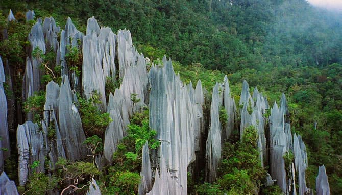 Visiter le Parc Gunung Mulu en Malaisie