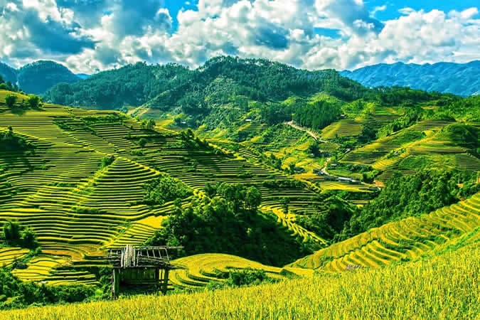 Lieux touristiques à Vietnam : les hauts lieux à privilégier