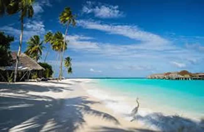 Les meilleures destinations dans l’Asie