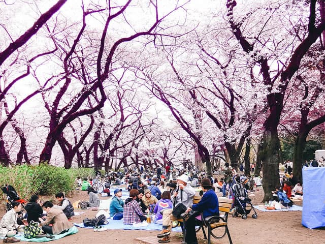 Tourisme au Japon, à la découverte de la culture nippone