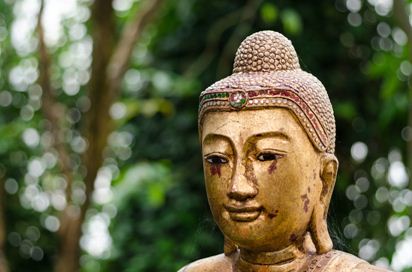 Le jardin secret de Bouddha