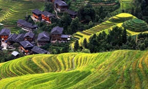 Voyager en Asie, les 4 pays incontournables